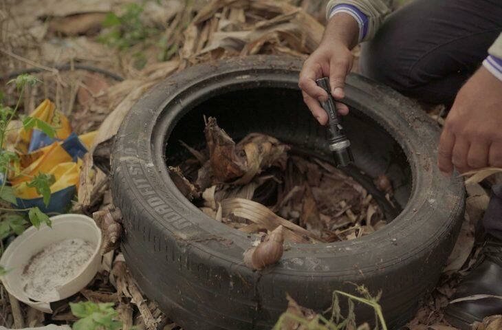 Imagem de compartilhamento para o artigo MS registra 15.101 casos de dengue; Costa Rica apresenta incidência média da MS Todo dia